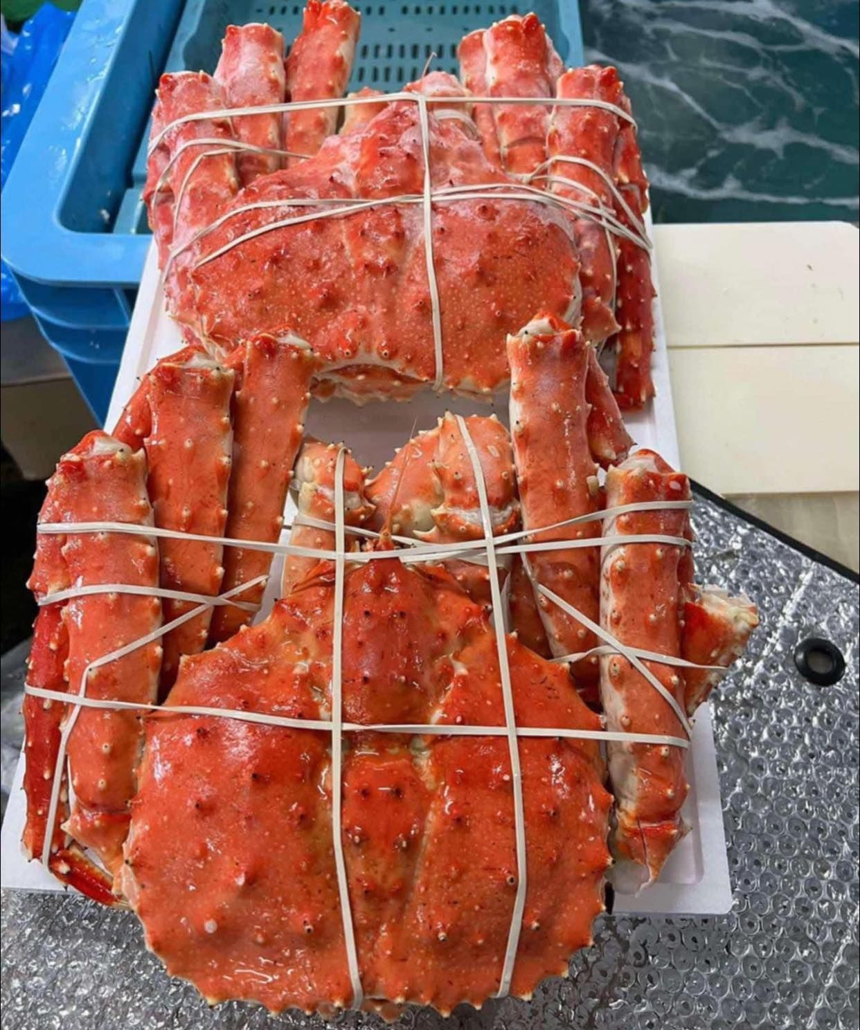 Fresh And Frozen King Crab