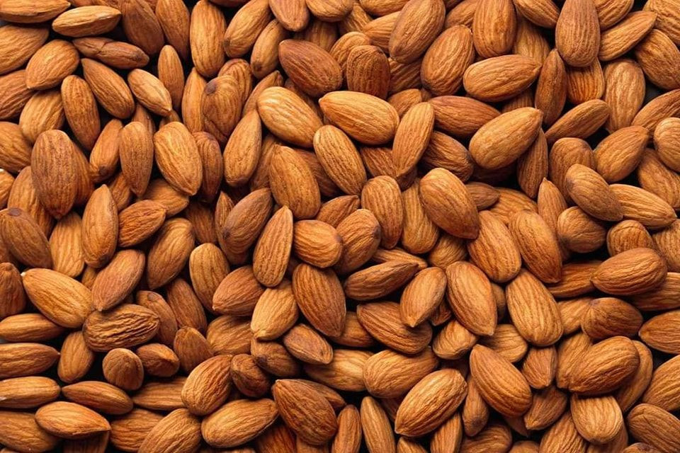 100% Raw Almond Nuts / Almond Kernel