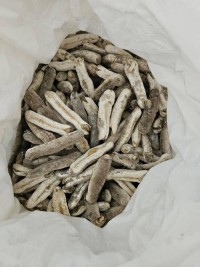 High Quality Dried Sea Cucumber for Sale