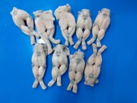 Frozen Frog Legs Meat