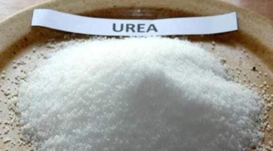 Agricultural Grade / Industrial Grade Urea 46% Nitrogen Fertilizer