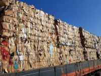 OINP Waste Paper, ONP Scrap, OCC Waste Paper