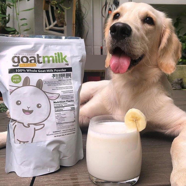 Whole Goat Milk Powder