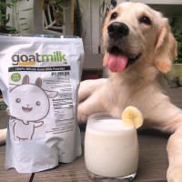 Whole Goat Milk Powder