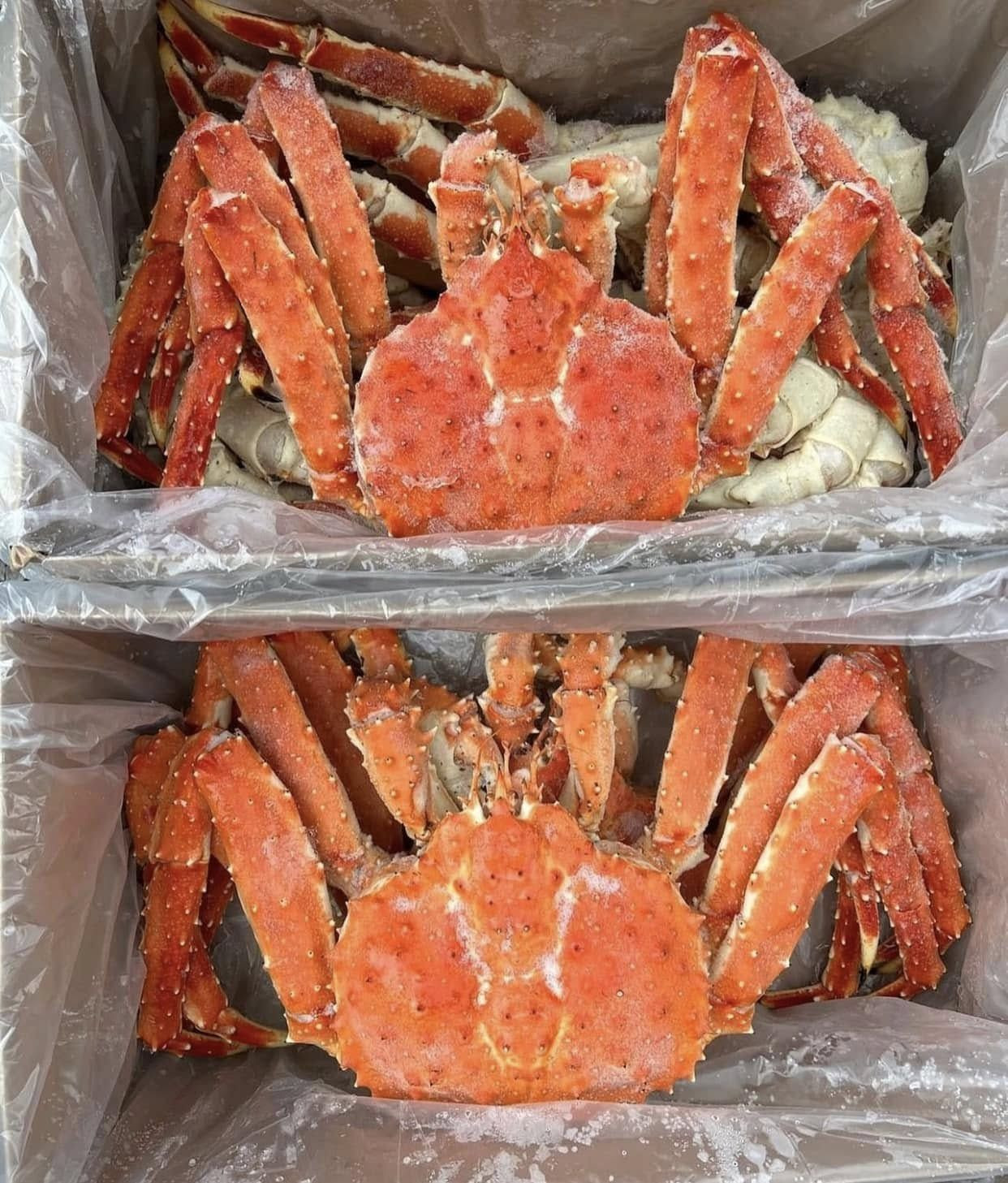 Fresh And Frozen King Crab Legs