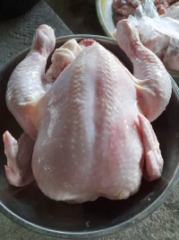 Halal Frozen Whole Chicken Drumstick