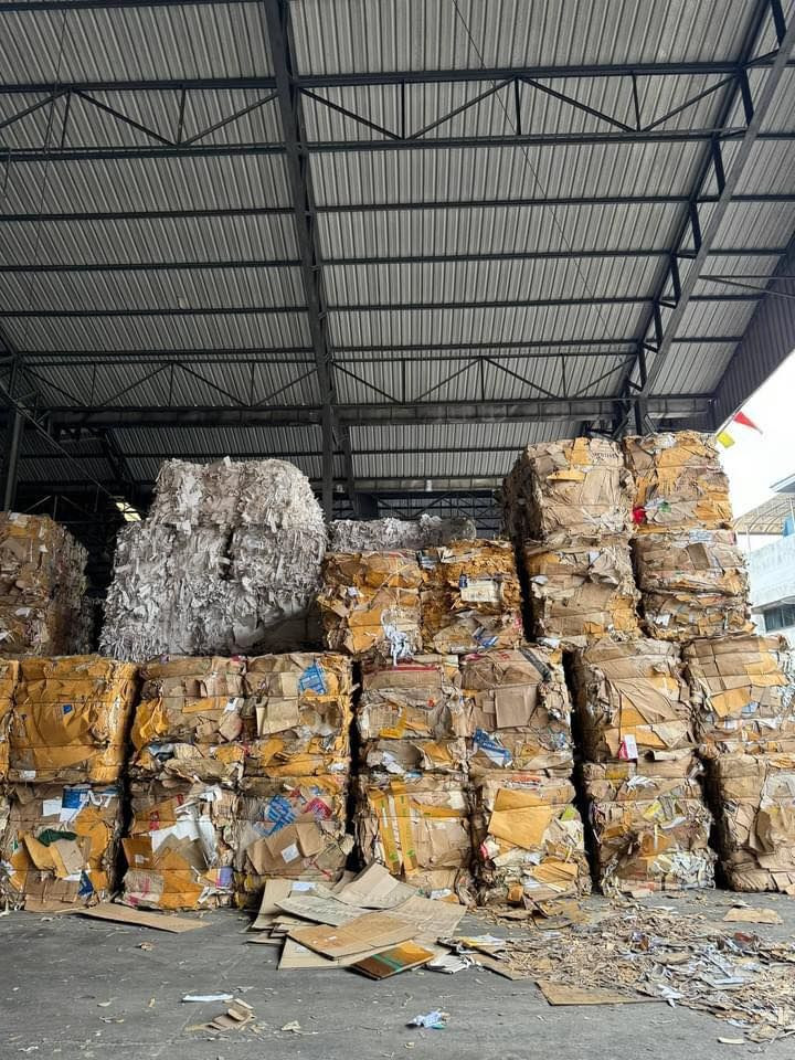 OINP Waste Paper, ONP Scrap, OCC Waste Paper