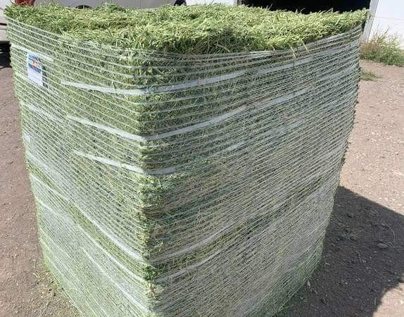 100% Alfalfa Hay Animal Feed