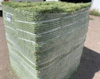100% Alfalfa Hay Animal Feed