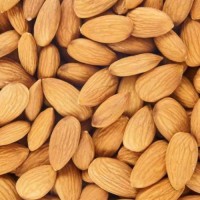 100% Raw Almond Nuts / Almond Kernel
