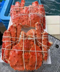 Fresh And Frozen King Crab Legs