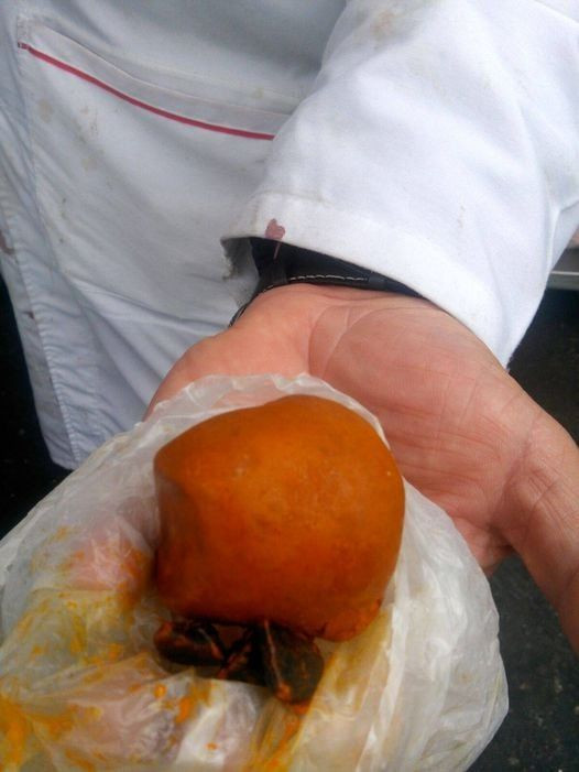 Quality Dried Cow Ox Gallstones / Cattle gallstones