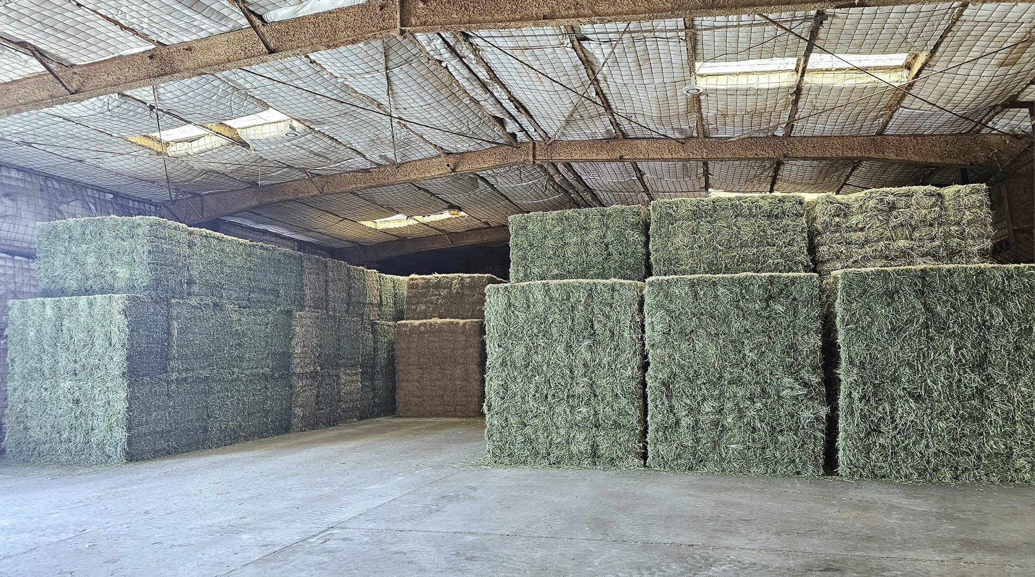 100% Alfalfa Hay Animal Feed