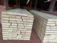 Sawn Timber/Lumber/ Dried Wood/ Acacia, Pine, Mussivi, Senya, Pachyloba