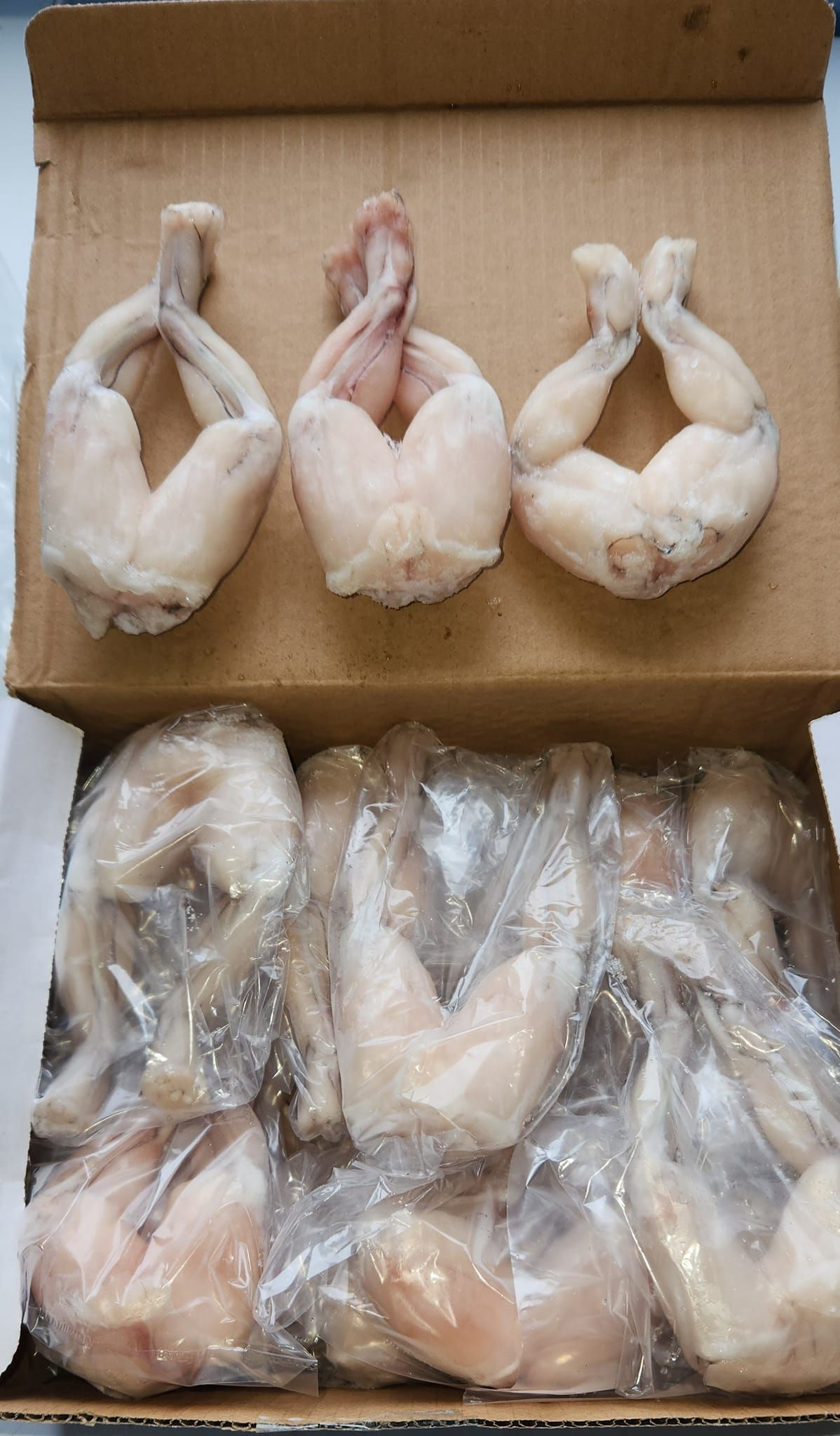 Frozen Frog Legs Meat